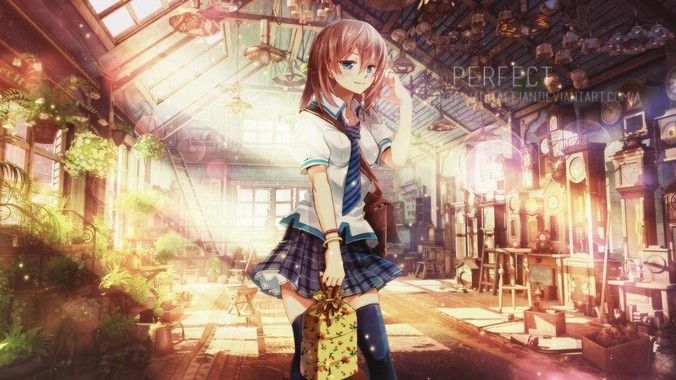 鱼缸上的藻类怎么去掉？